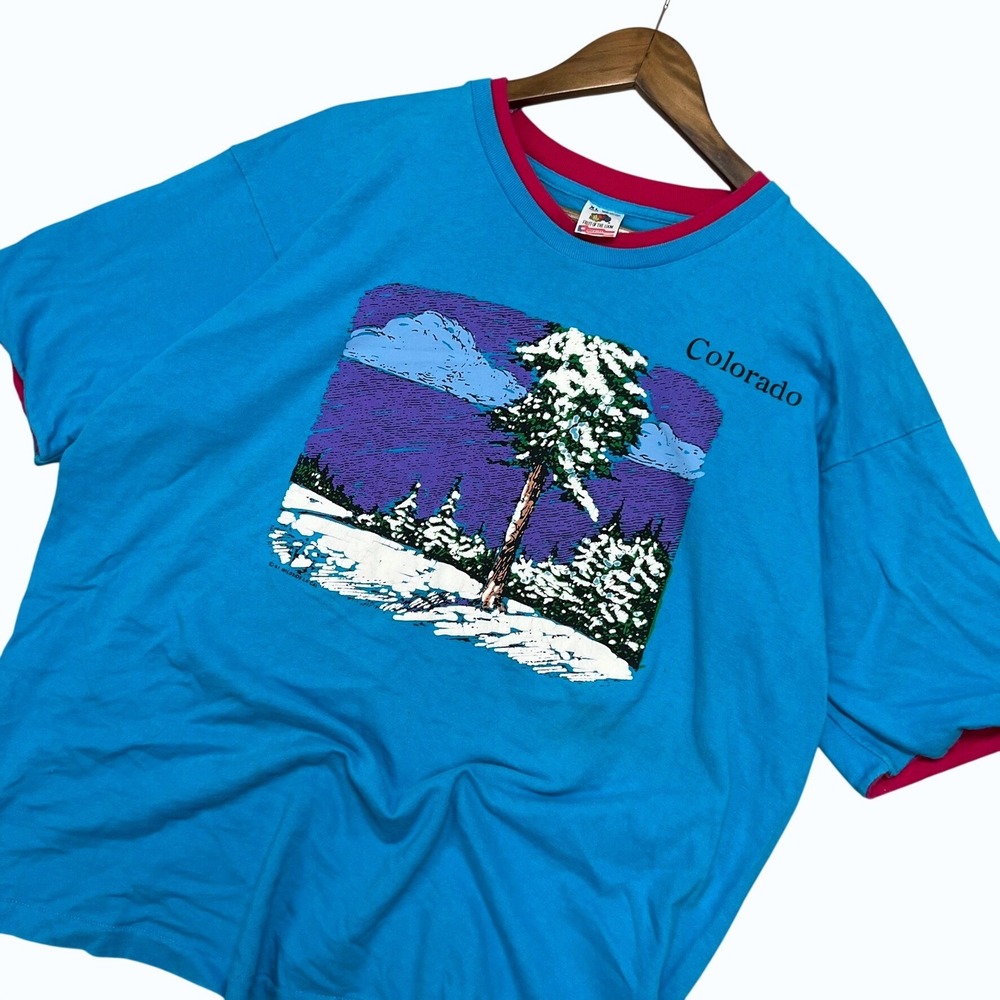 Vintage 90s Fruit of the Loom Colorado T Shirt Blue Pink Ringer Made in USA XL